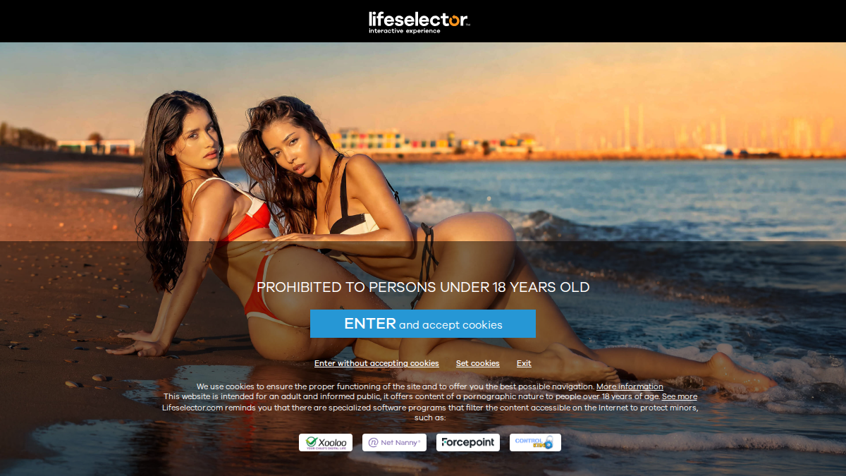 LifeSelector · Voorbeeld van